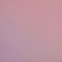 KOINTEC | Premium Glow Rose