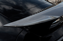 DSC08420.webp
