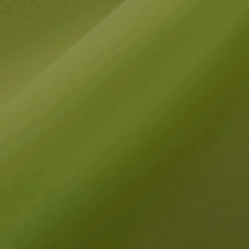 ORACAL 631-493M Olive