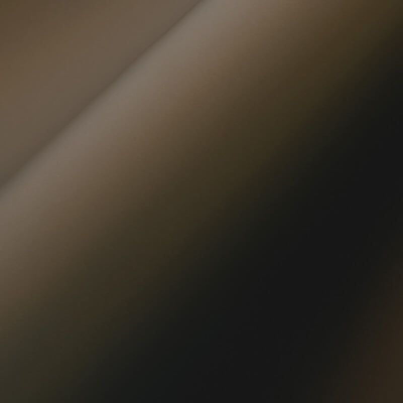 CHEETAHPCC | The Gold Rush