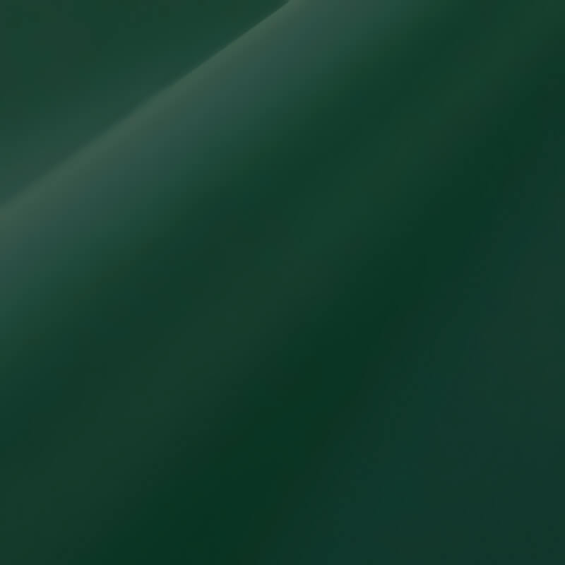 ORACAL 631-060M Dunkelgrün