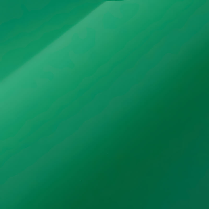 ORACAL 631-061M Grün