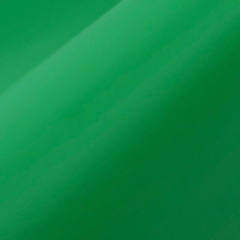 ORACAL 631-062M Hellgrün