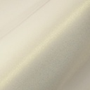 3M 2080-SP240 | Satin Frozen Vanilla