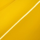HEXIS | HX20109B | Sun Yellow Gloss